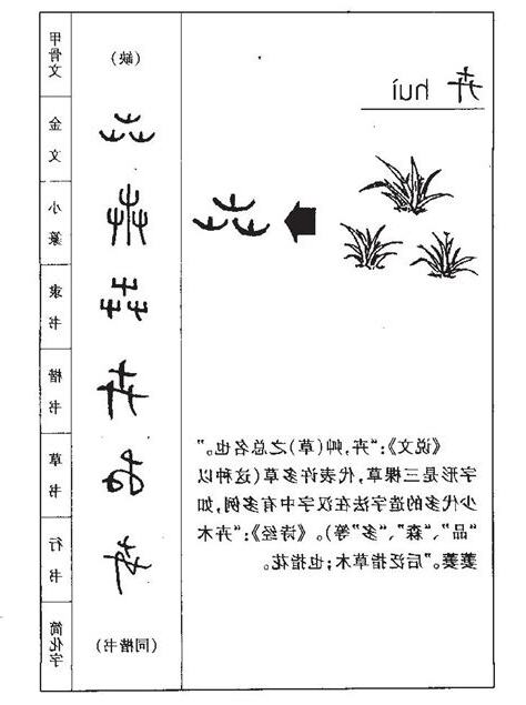 卉 意思
